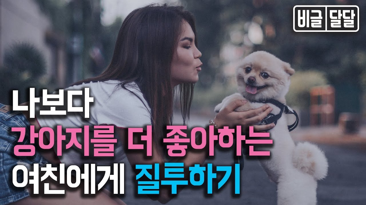 워너비 달달비글 나보다 강아지를 더 좋아하는 여친 질투하기 남자ASMR/남친롤플/여성향