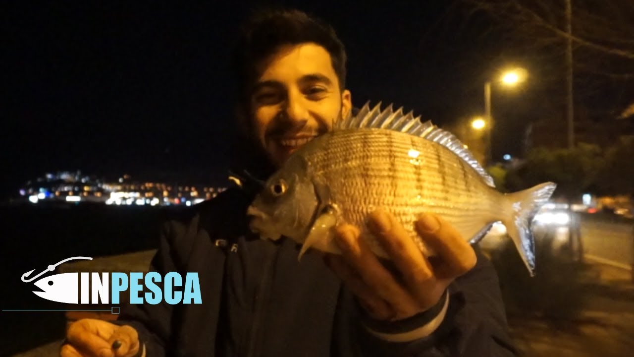 BOLOGNESE EXTREME | Pesca del SARAGO di NOTTE con Mare in Scaduta