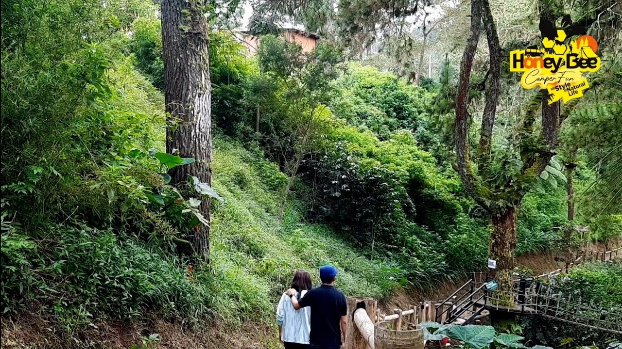 BROMO FOREST AREA CAMPING
