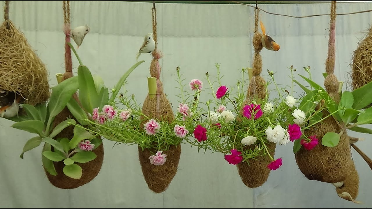 Tree planting in NEST/পাখির বাসায় উদ্ভিদ চাষ (With English Subtitle)