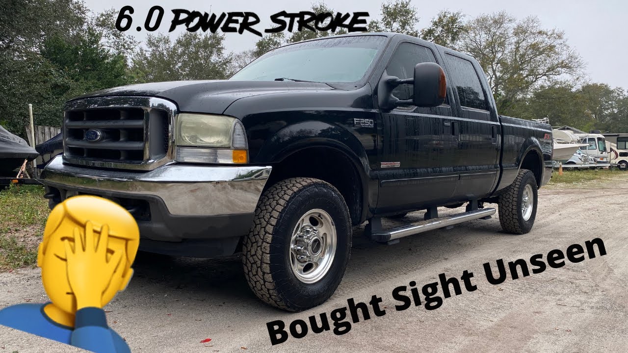 I Accidentally Bought A 6.0 Powerstroke Completely Sight Unseen At An Auction