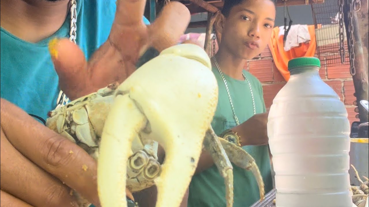 Almoço hoje é guaiamum #viralvideo