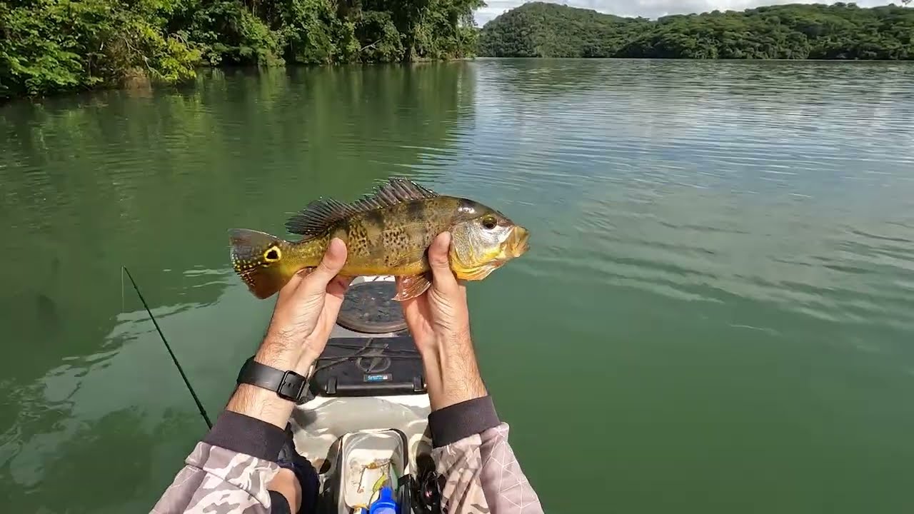 Acampamento e Pescaria   Rio Araguari   região do capim branco