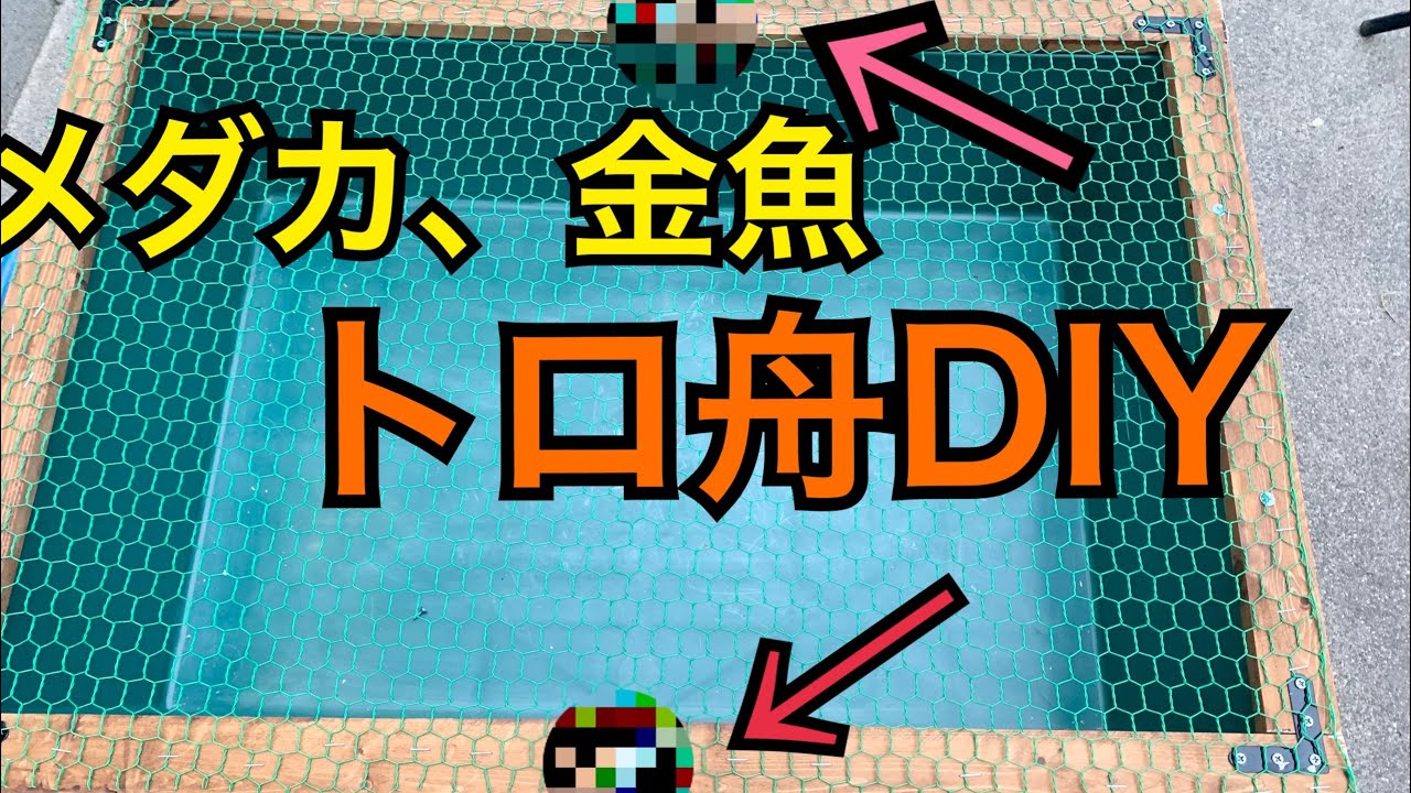金魚メダカのトロ舟に鳥獣対策DIY！〇〇使ったら最強すぎた！