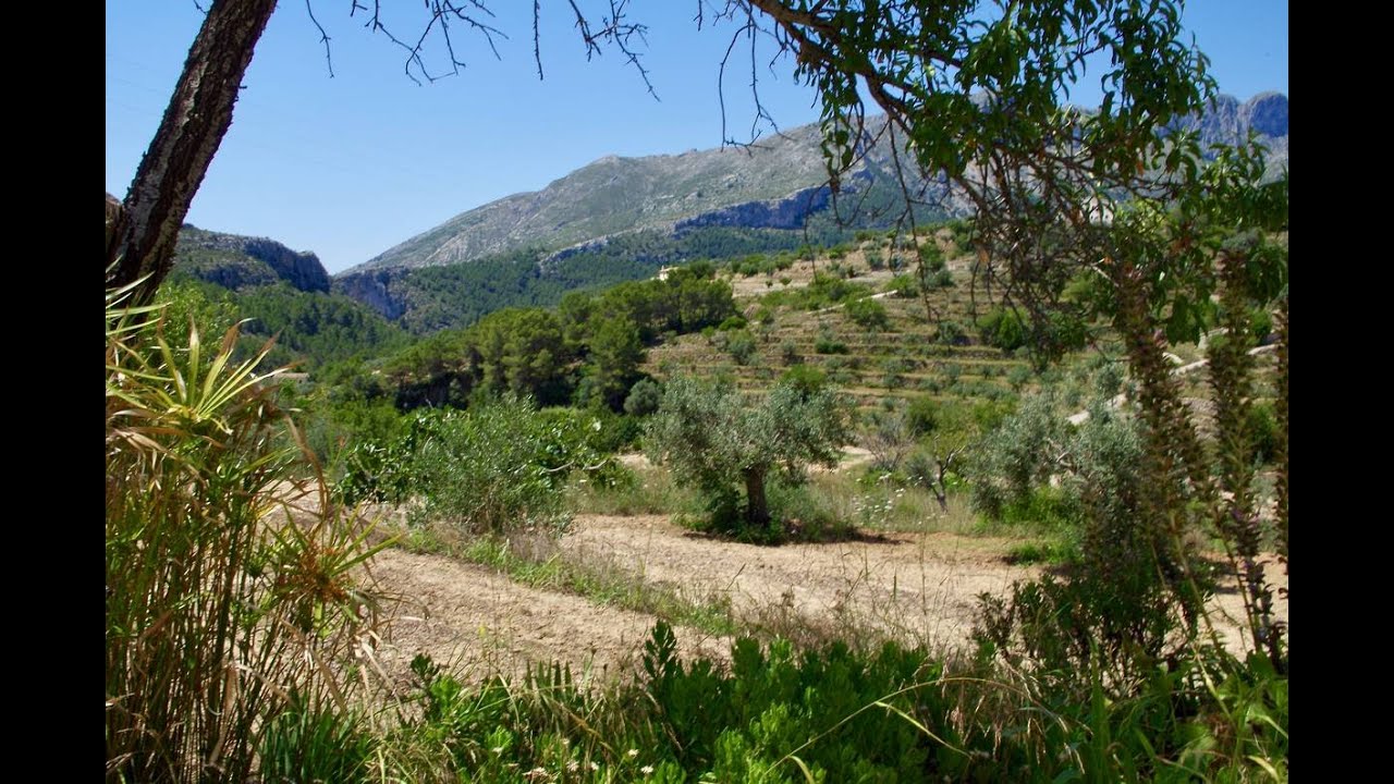 Traditional Spanish Finca in Pinos, Benissa