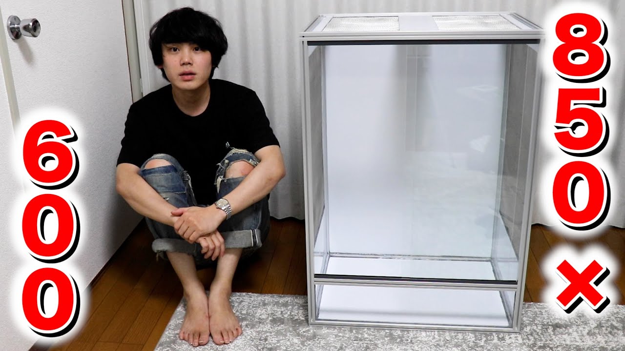 アルミフレームとアルミ複合板で作るカメレオンケージ【自作爬虫類ケージ】