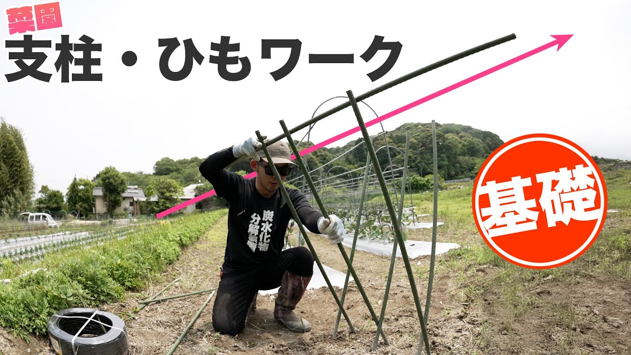 【図解】家庭菜園の支柱の建て方と紐の結び方
