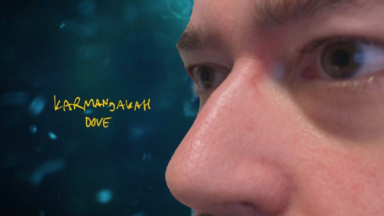 Karmanjakah - Dove (Reaction)