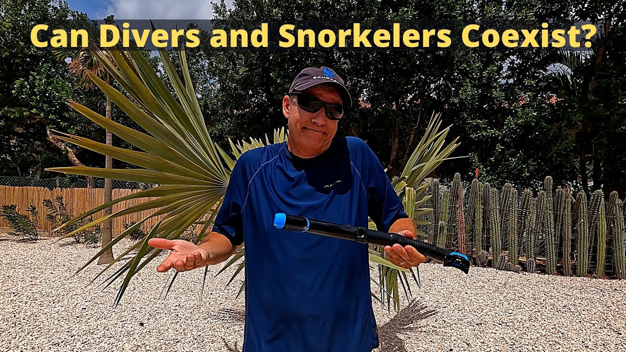 First time Bonaire snorkeler tells all!