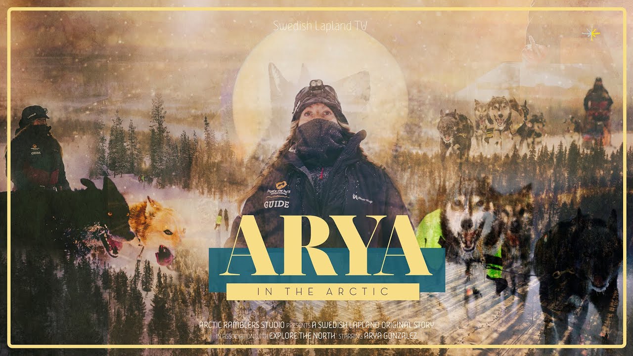 ARYA in the Arctic — a musher in northern Sweden