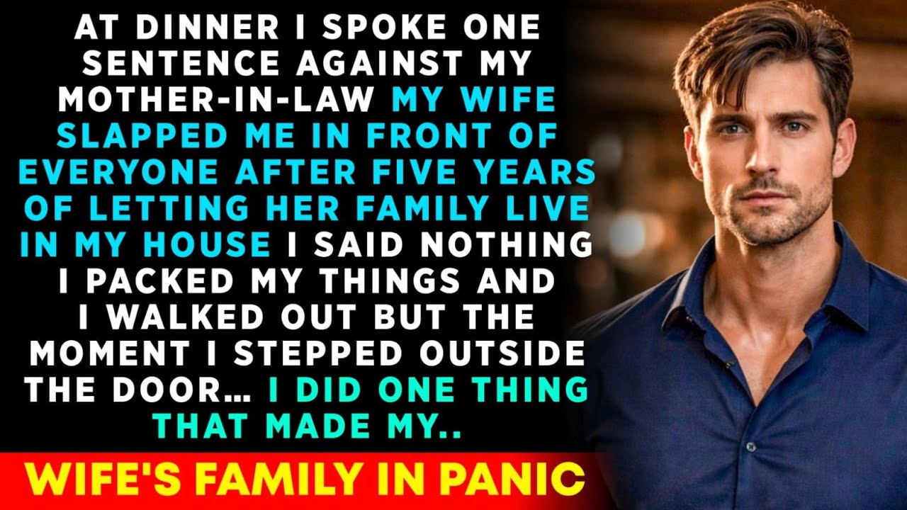 At A Family Dinner, I Accidently Argued With My MIL. And My Wife Slapped Me In Front Of Everyone..