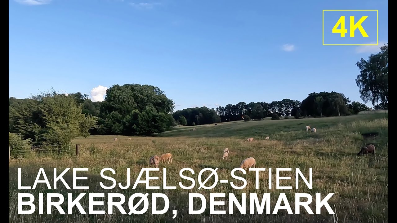 COPENHAGEN | Lake Sjælsø-stien | 4K Walk