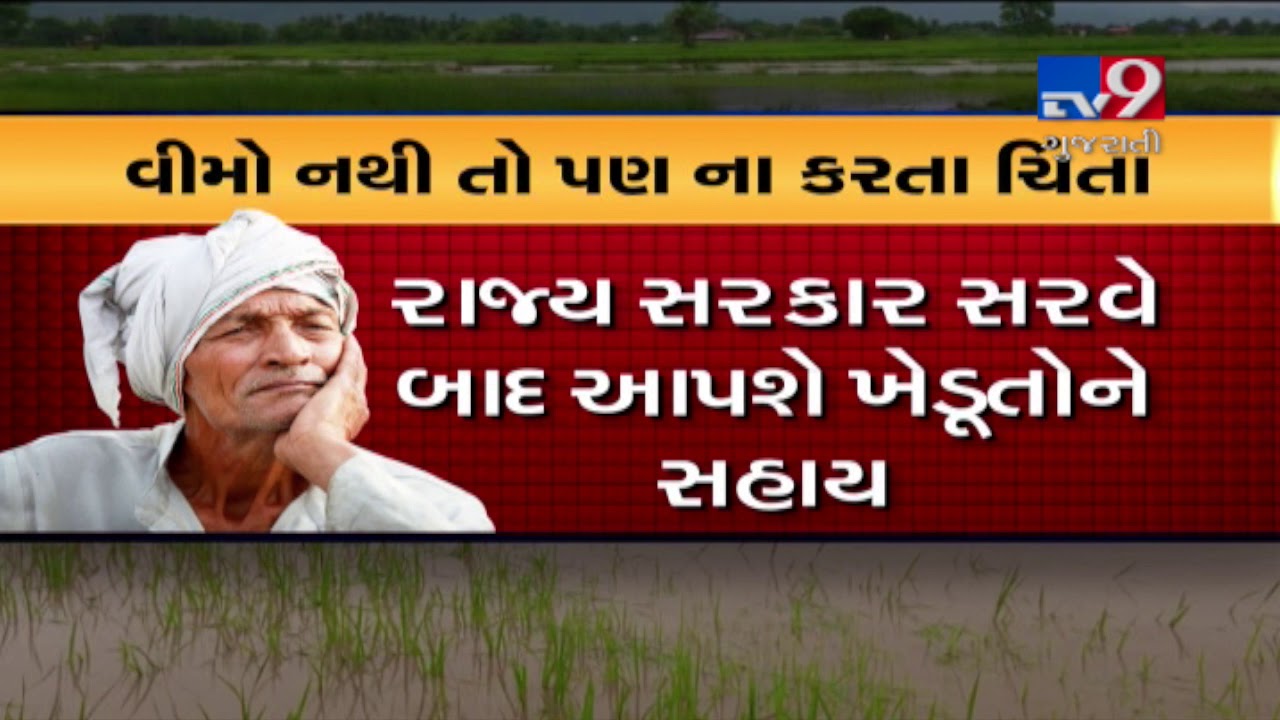 After survey, Gujarat govt to give compensation for crop loss | Tv9GujaratiNews