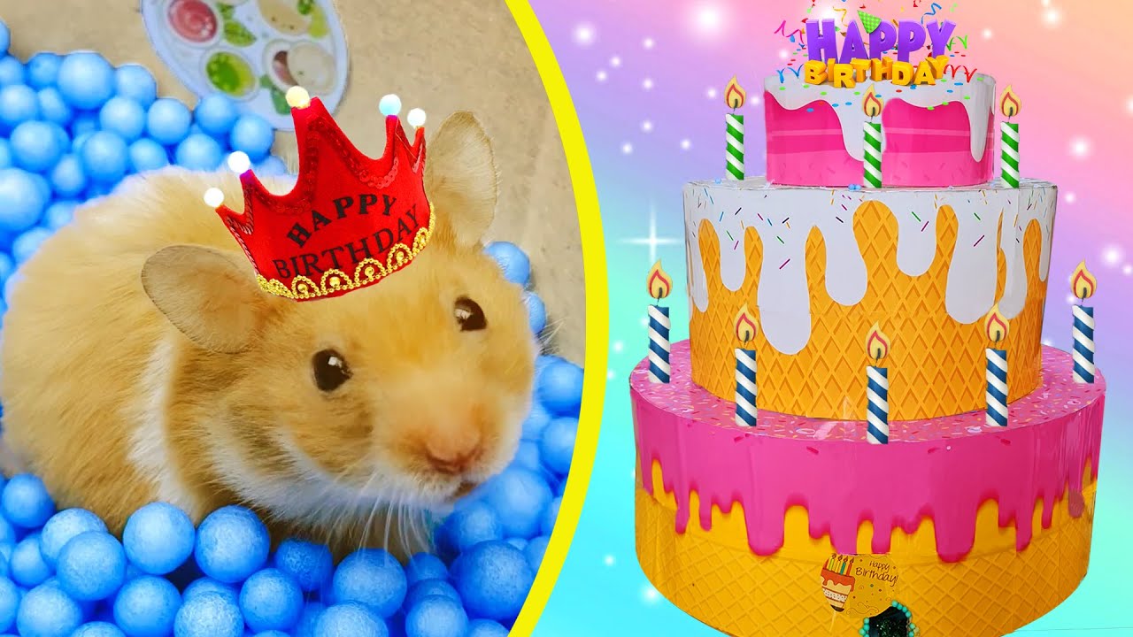 Hamster Adventure obstacle course Giant Maze Birthday Cake in Hamster Stories
