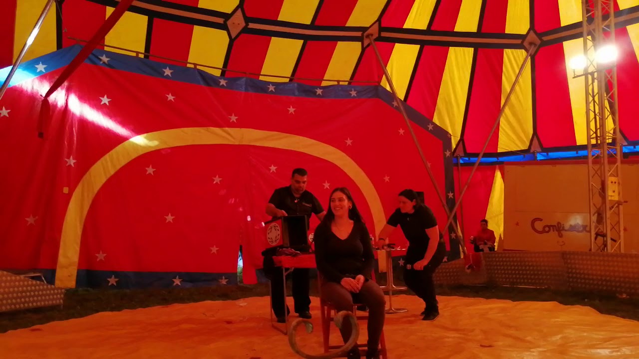 Magicien cirque artini
