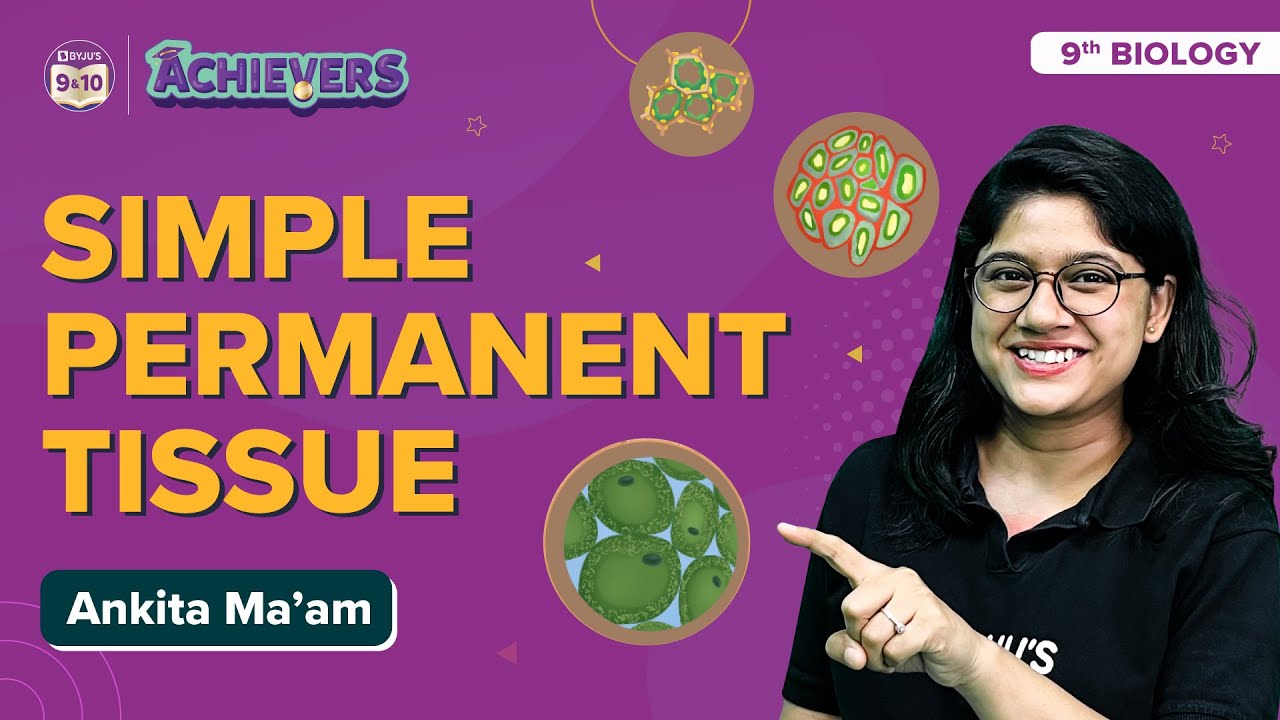 Simple Permanent Tissues Class 9 Science (Biology): Formation & Function | CBSE Class 9 Exams