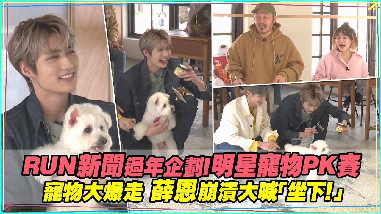明星寵物PK賽　寵物大爆走 C.T.O薛恩崩潰大喊「坐下！」｜RUN新聞過年企劃