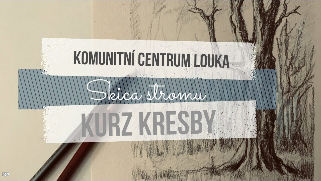 KURZ KRESBY 3. | Skica stromu