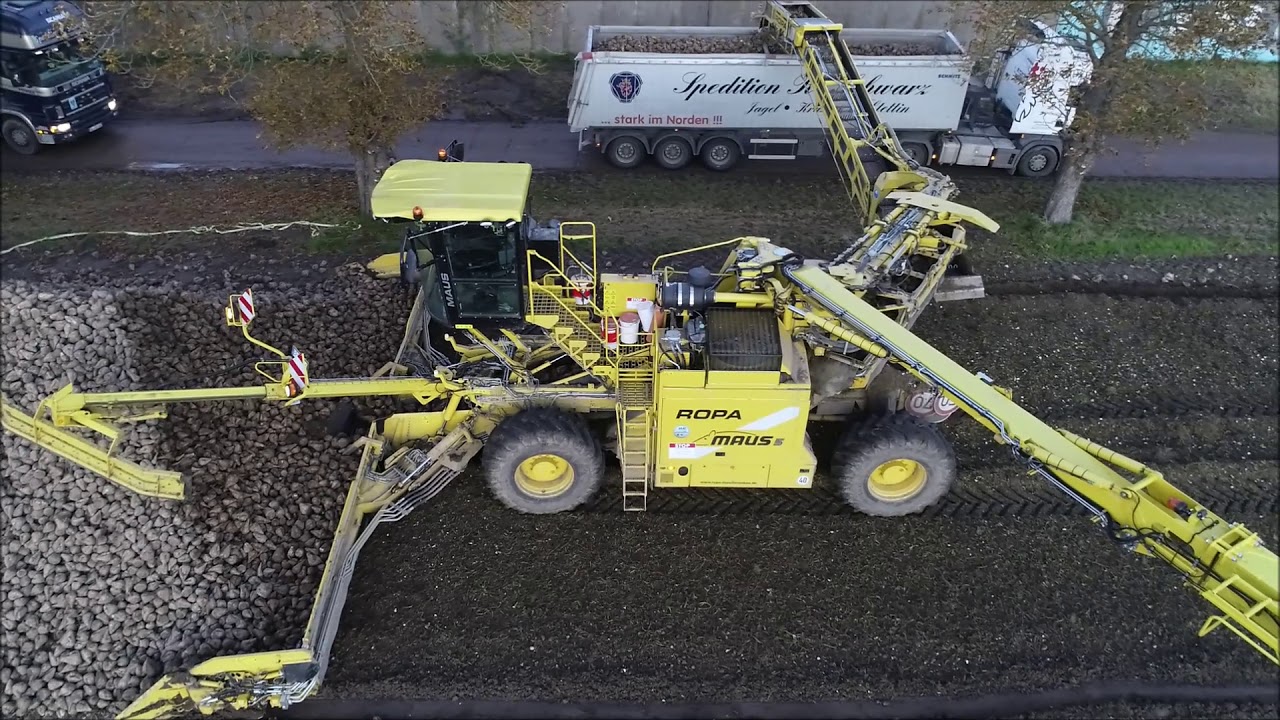 Rübenverladung - Loading Beets Ropa Maus 5