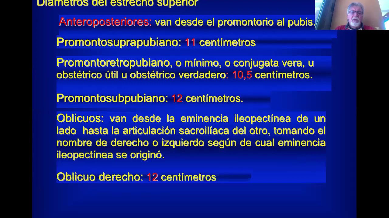 4° I PARTE  PELVIS OSEA Y PELVIS BLANDA