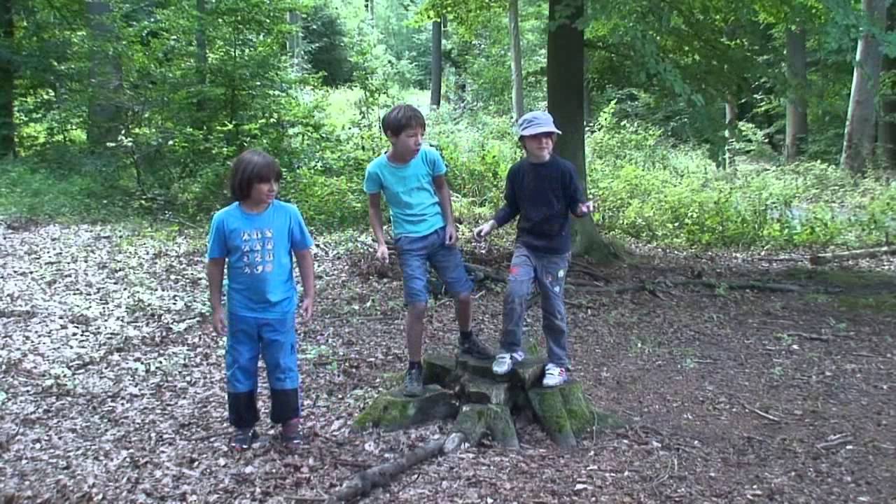Der Waldbrand   Umwelt Kinder Krimi