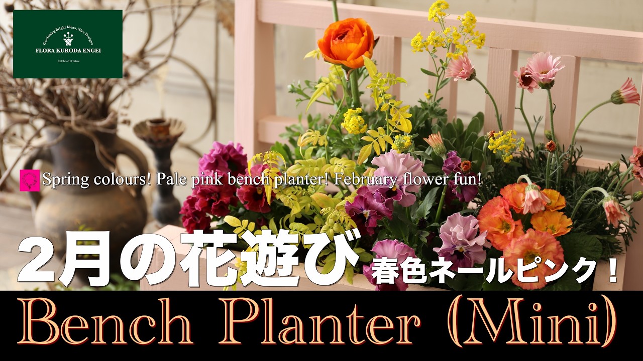 【2月の花遊び！】春色ネールピンクのベンチプランターMini「冬のガーデニング」-フローラ黒田園芸- #ガーデニング #園芸 #寄せ植え