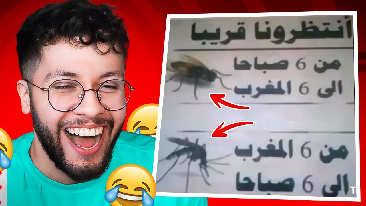 ميمز المتابعين 66: موسم البعوض ههههههههههههههههه