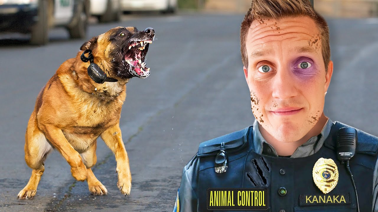 I Tried Animal Control | Animal Force Ep 1