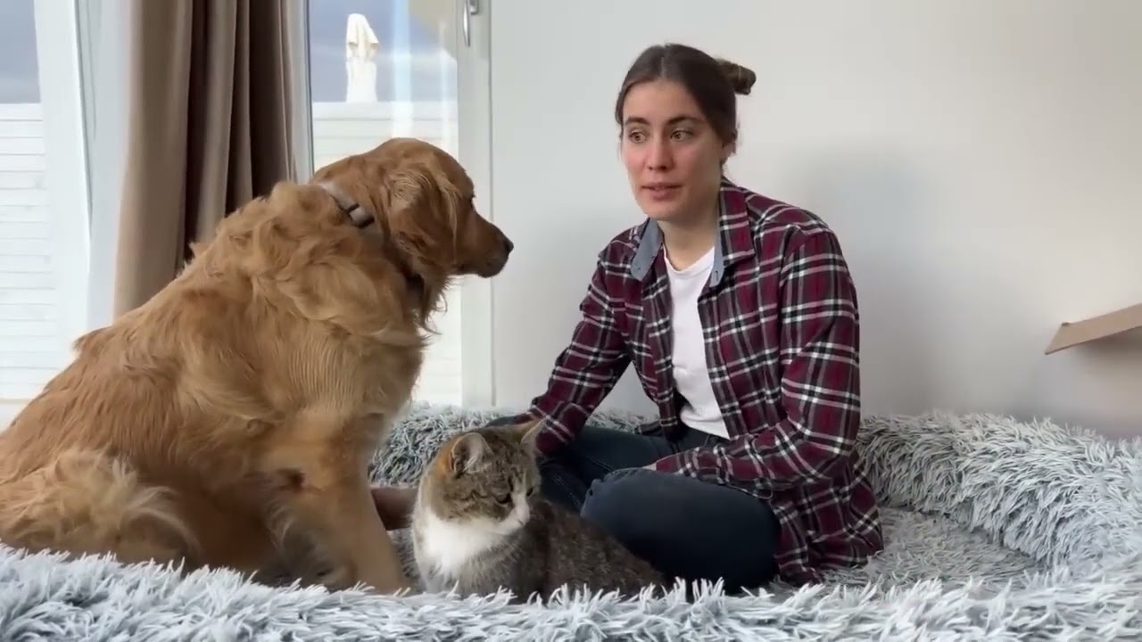 Leo Fucarev! We Moved Dog Reaction To The New House
