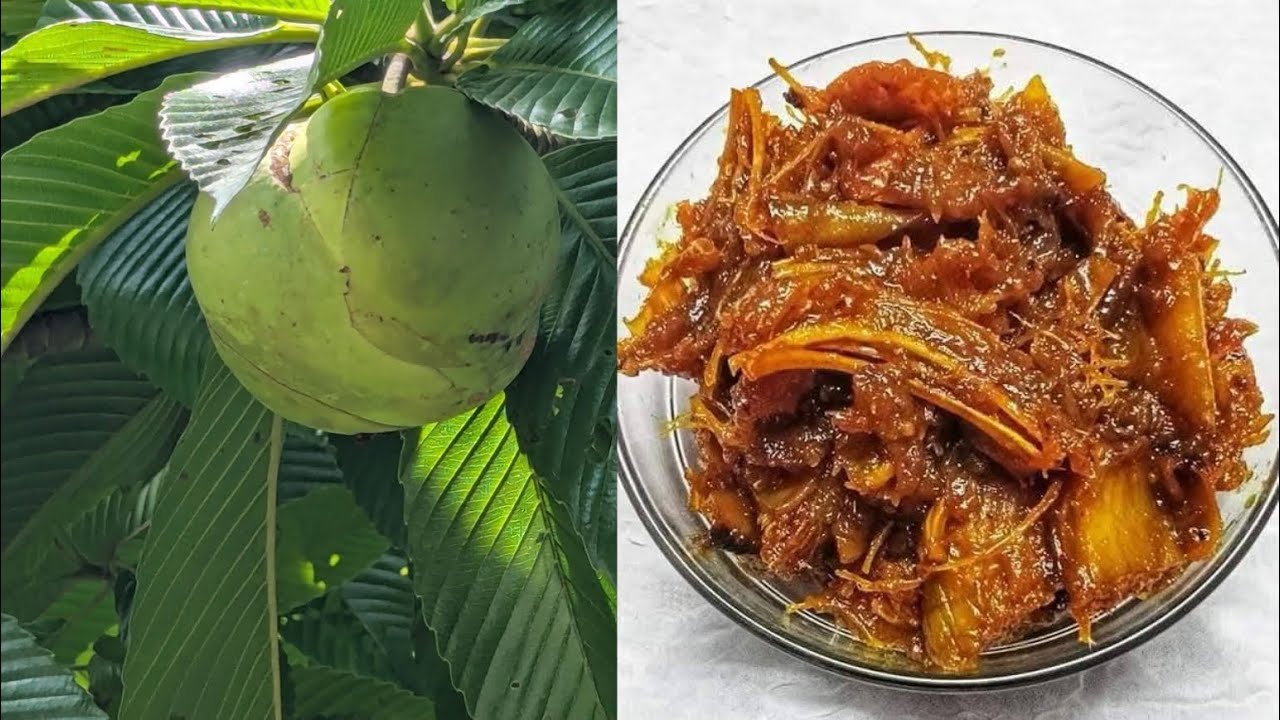 গাছ থেকে চালতা পেড়ে খুব সহজে মজাদার চালতার আচার বানিয়ে নিলাম(Chaltar achar)#recipe#youtube#viral 