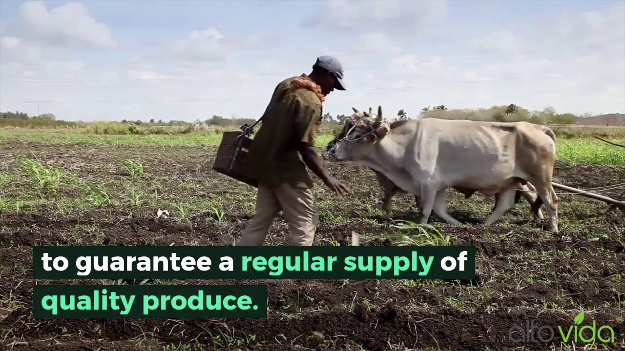 Africa's Leading Farm Supply Chain Manager