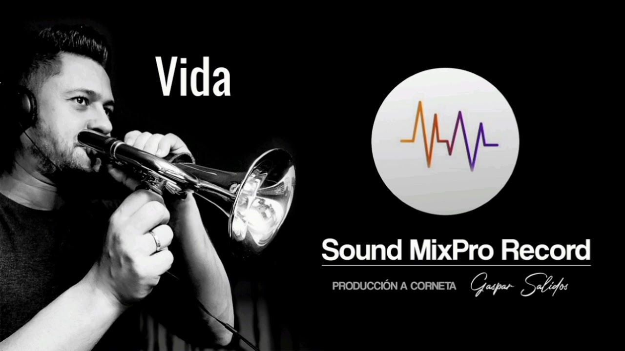 Vida (Fragmento) BCT Rosario de Linares