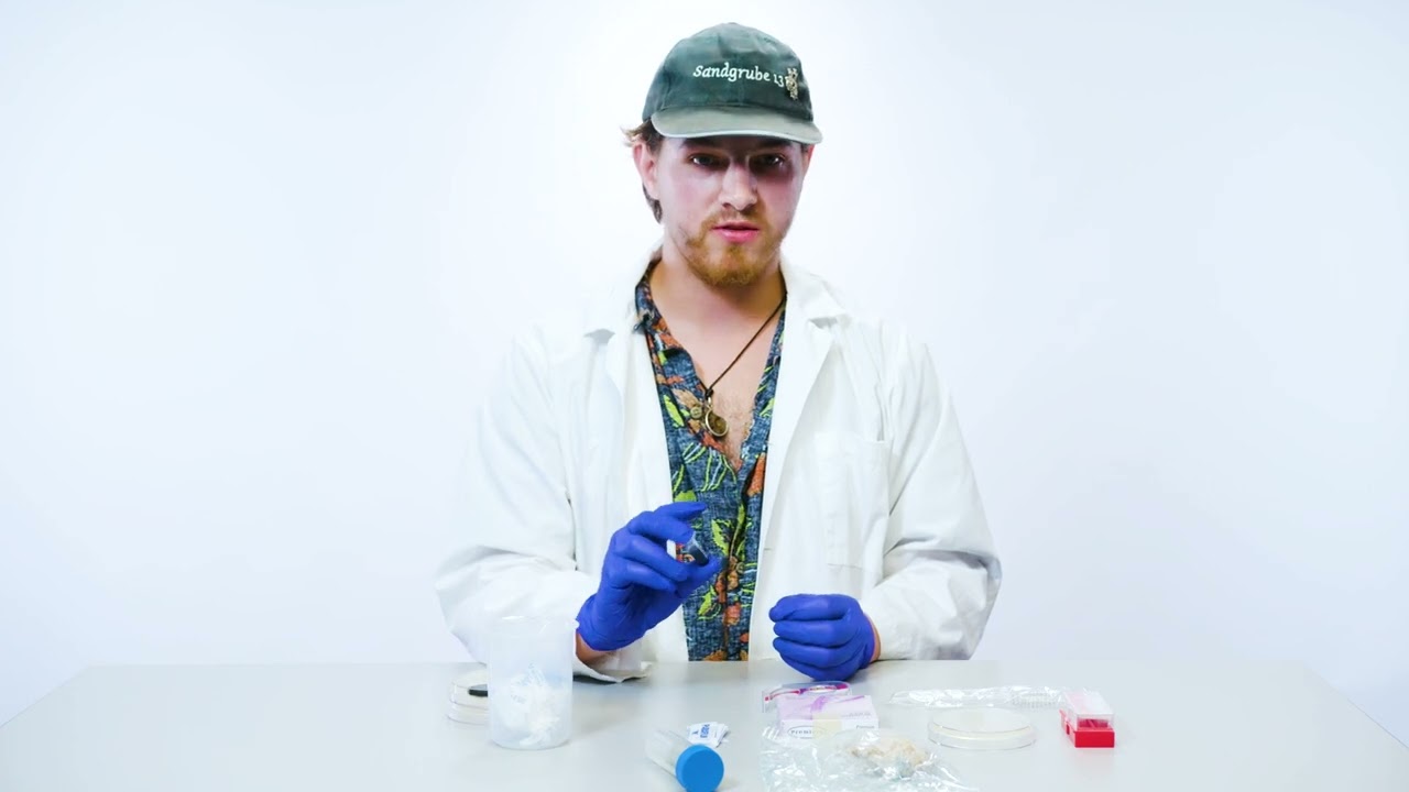 Mycology: staining mold samples with lactophenol blue