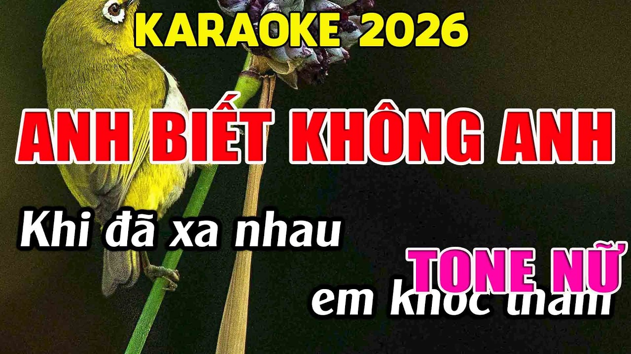 Anh Biết Không Anh Karaoke Tone Nữ Karaoke Giang Organ - Beat Mới