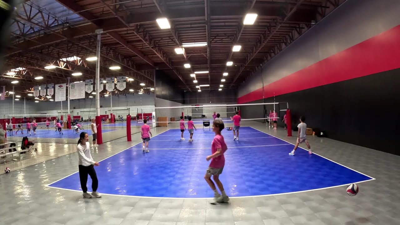 SDVBC 14 Black - Putting in the work Jan 3, 2026