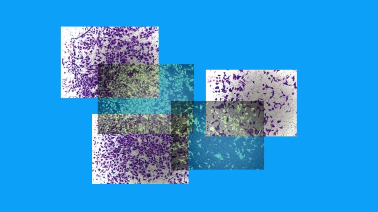 FD09F41C803D3DD4B00A0D9E327602#2