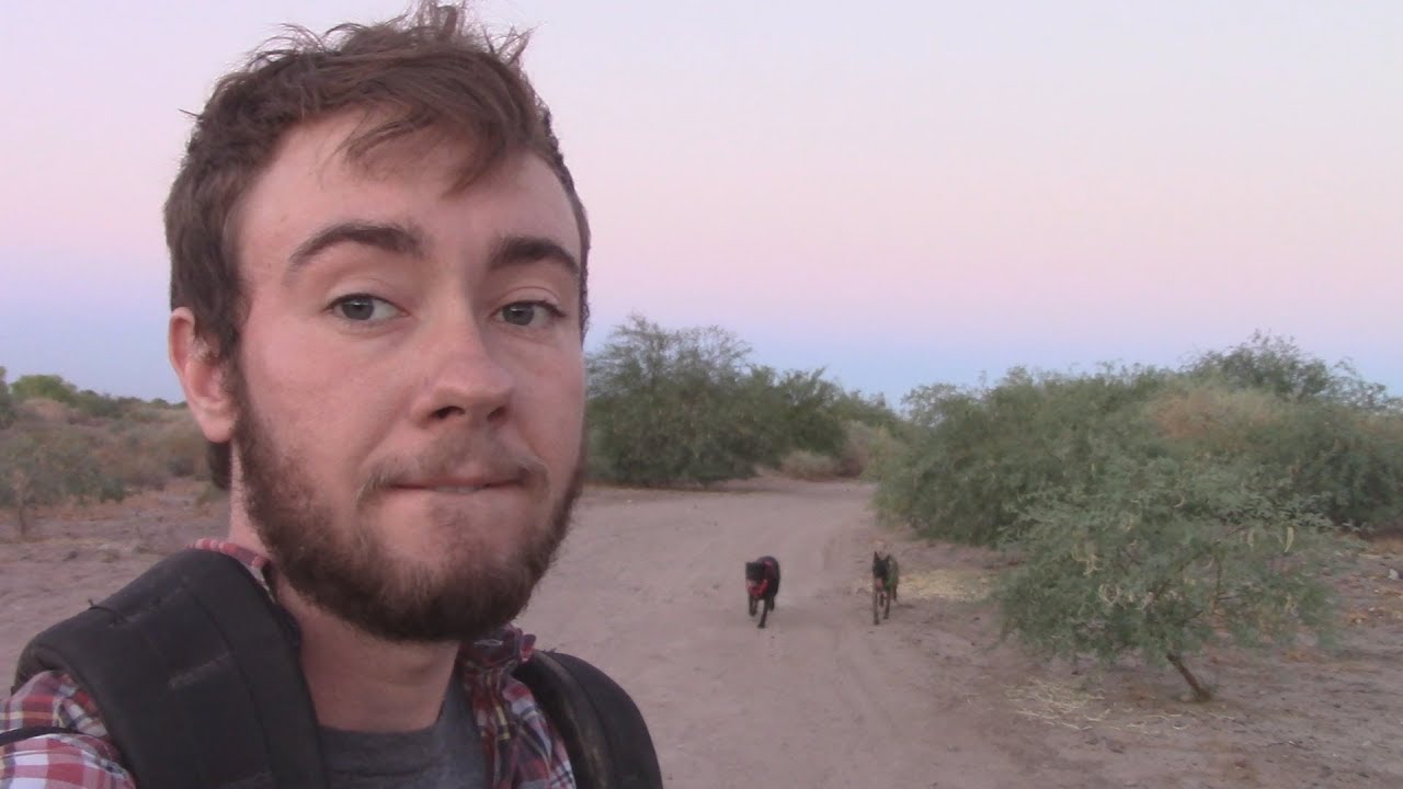 Adventures in Recall Training | 3 Lost Dogs Vlogs