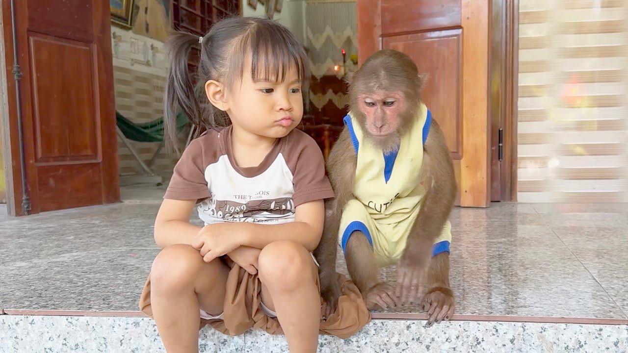 Heart Melting Moment! CUTIS’ Shy Apology Will Melt Your Heart