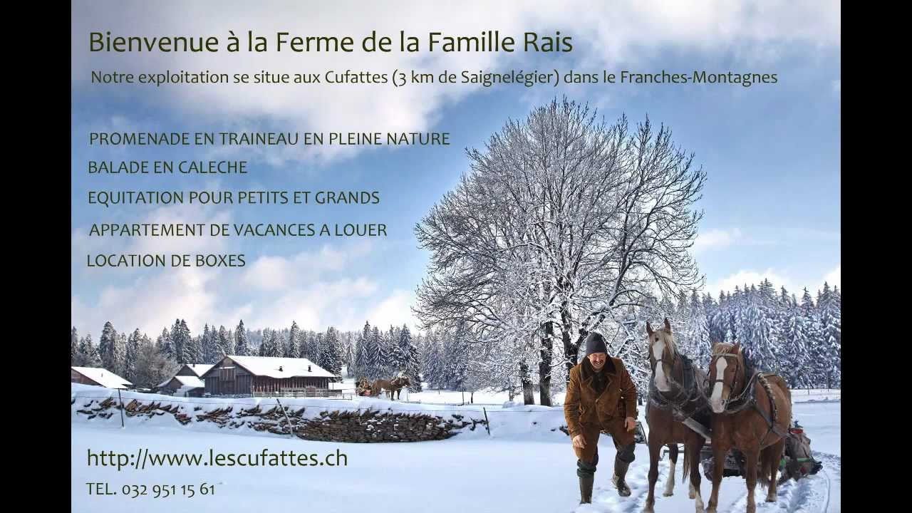 Gaby Rais Balade en traineau aux Franches-Montagnes