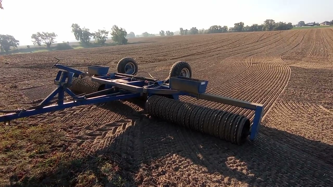 Pszenica sezon 2024 - 28.09.2023 Siew pszenicy SU Hymalaya. Łapanie wilgoci - wałowanie po siewie 🌱🌾