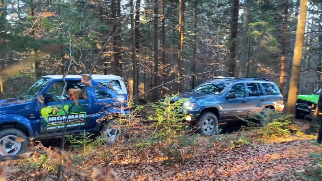 Forest Offroad Test | Lada Niva | Jeep Grand Cherokee | Suzuki Jimny