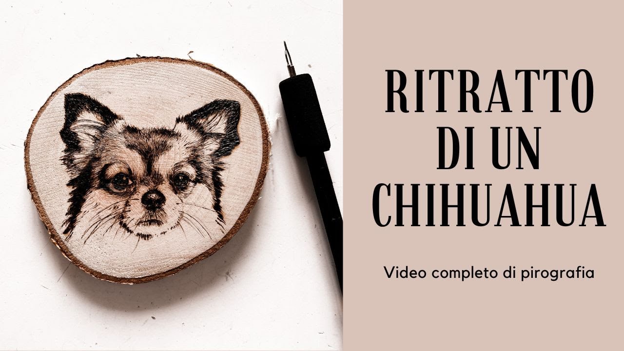 Pirografia e ritratto di un chihuahua