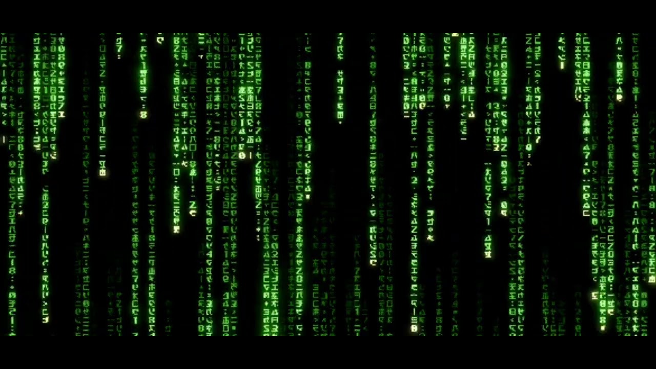 37 minutes of The Matrix Wall Digital Rain Code - no sound