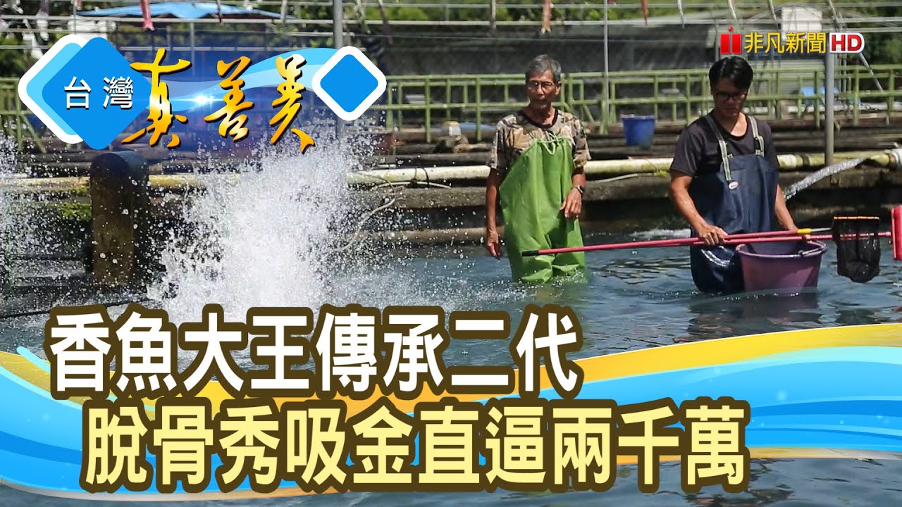 “香魚王”世代交棒拚創新｜八甲休閒魚場｜【台灣真善美】2025.07.05