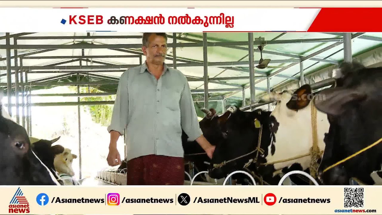 വൈദ്യുതി കണക്ഷൻ നൽകാതെ KSEB; 30 പശുക്കളുള്ള ഫാം അടച്ചുപൂട്ടേണ്ട ​ഗതികേടിൽ ക്ഷീര കർഷകൻ