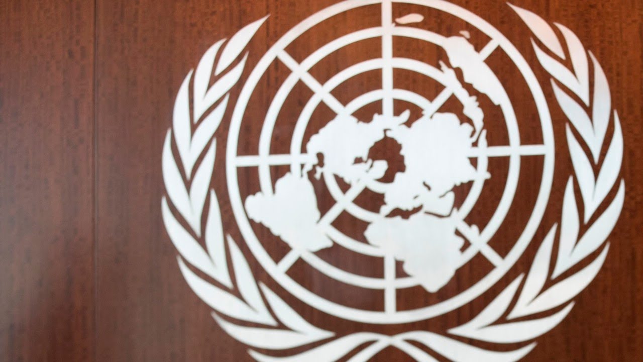 UN’s digital ID linked to bank accounts idea ‘similar’ to World Economic Forum ideas