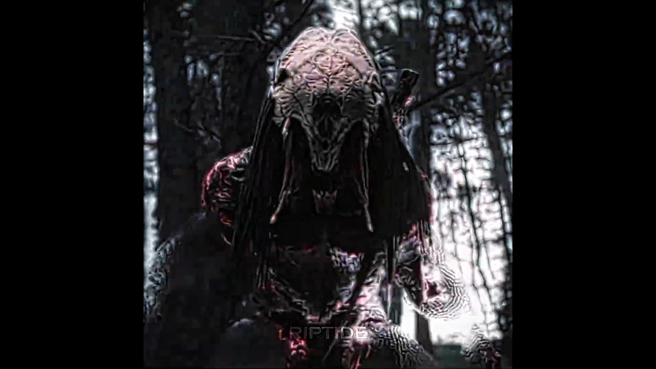 Feral Predator edit. Prey 2022. Fragment - slxughter #prey #predator #edit #new #trending #video