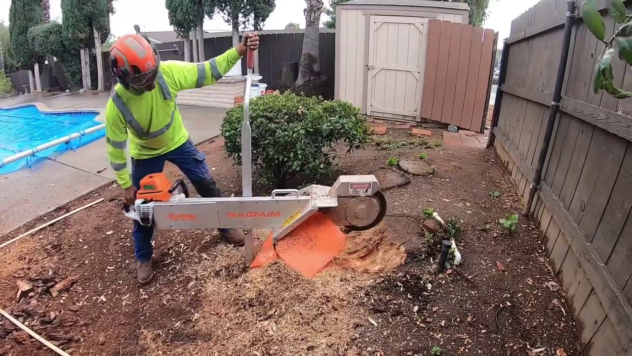 Stihl ms880 alpine stumps grinder