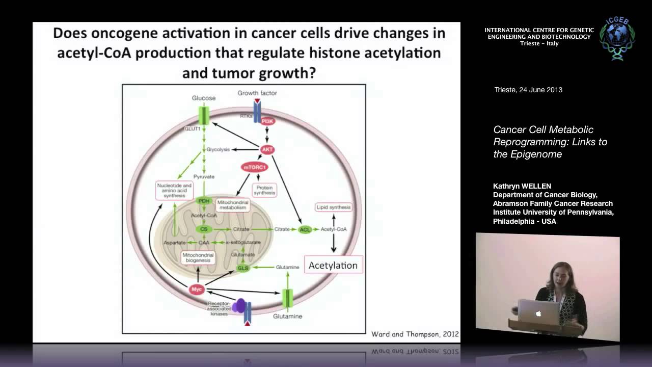K. Wellen - Cancer Cell Metabolic Reprogramming: Links to the Epigenome