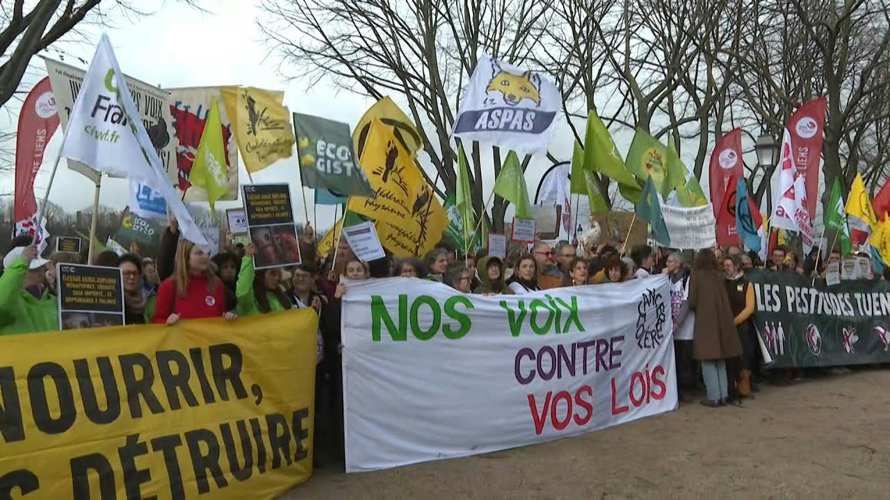 Duplomb Law: opponents gather near French Assembly | AFP